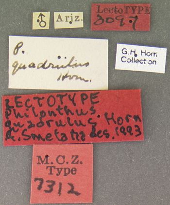 Media type: image;   Entomology 7312 Aspect: labels